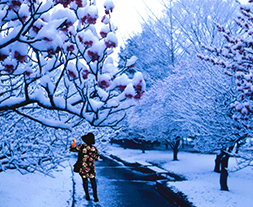 早春雪景