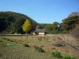彦部家屋敷と手臼山.JPG