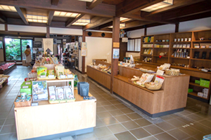 矢野園