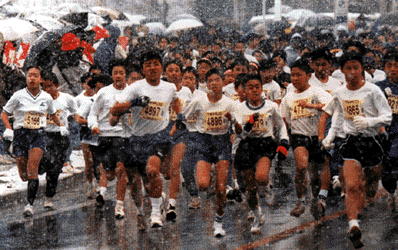 �x�}���\��