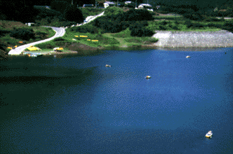 �~�c�΃}�X�ނ����